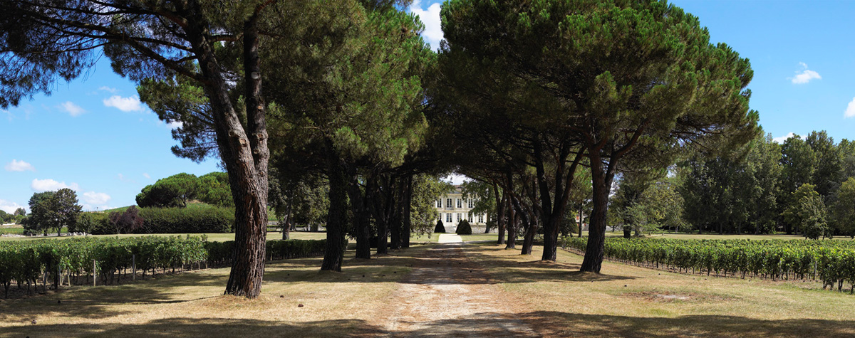 The modern approach to sustainability in Bordeaux